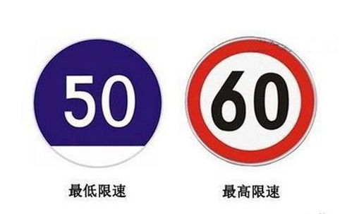 最容易吃罚单的交通标志,你都会区分了吗